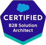B2B Solution Architect